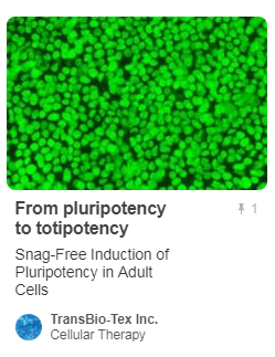 pluripotency